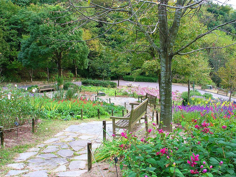 療愈花園（healing garden）景觀設計