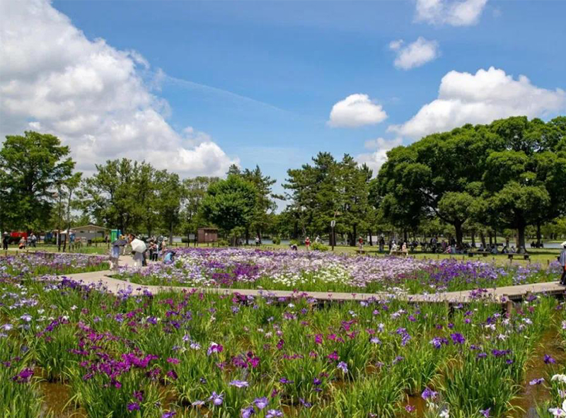 療愈花園（healing garden）景觀設計