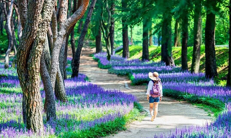 療愈花園（healing garden）景觀設計