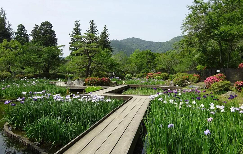 療愈花園（healing garden）景觀設計